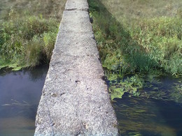Road / ***