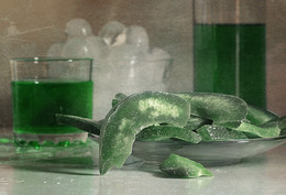Tarragon ice / ***