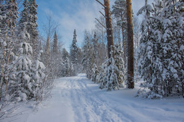 Blue-Winter- / ***