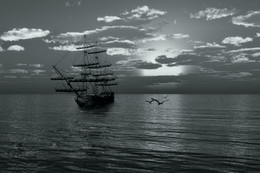 Boat trips ... / ***