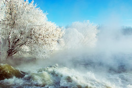 Winter, fog, frost / ***