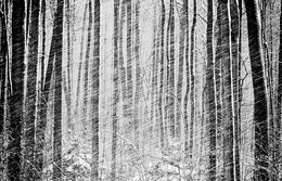 Winter schedule / ...