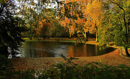 Autumn Theatre / ***