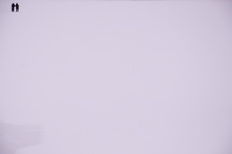 Color white / ***