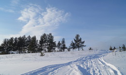 The January landscape / -----------