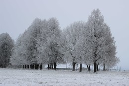 Zimovaya kazka / ***