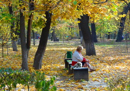 Autumn of life .... / ***