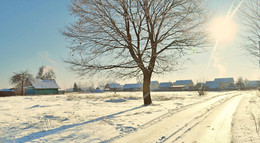 Freezing day / ***