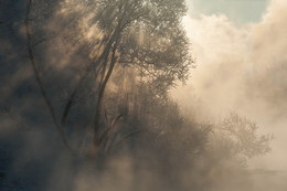 Solar-Dusche / ***