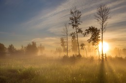 Rhyme of morning light / ***
