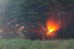 Rhyme of morning light / ---