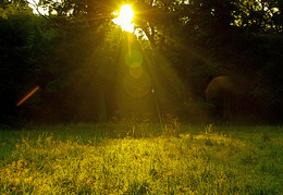 Rhyme of morning light / ***