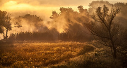 Reim des Morgenlichts / ***