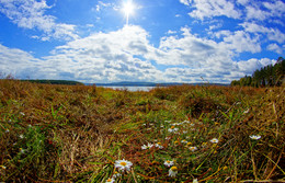 Under the blue sky / ***