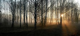 Reim des Morgenlichts / ***