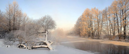 frosty morning / ***