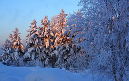 Ein frostiger Morgen / ***