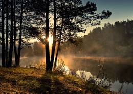 Golden ray of sunlight / ***