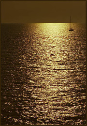 Gold Track / ***