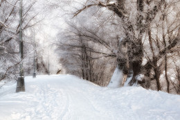 In Winter Park / ***