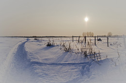 Winter Sun / ***