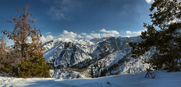 Winter in the mountains / ***