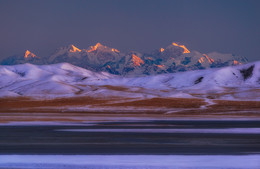 Peak Snow Lotus / ***