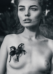  / ***