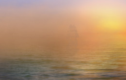 The warm seas ... / ***