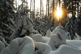 Snowy. / ...