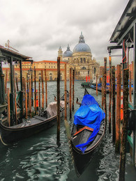 Venice / ***