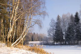 Januar Zärtlichkeit / ***