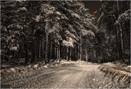 Bedeutungsvolle Halluzinationen / ***