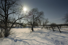 Winter / ***