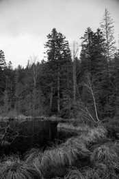 Dead Lake / ***