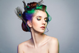 Peafowl / ***