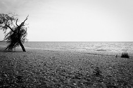 Tranquility / ***