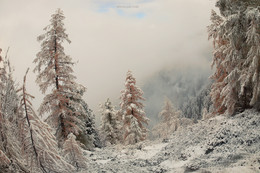 The Chronicles of Narnia Alpine. / ***