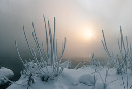 Frosty morning. / ***