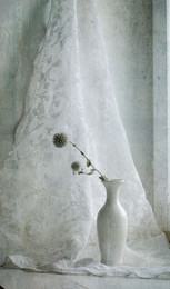 Tranquility / ***