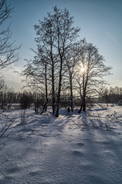 Winter landscape / ***