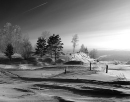 BW / ***