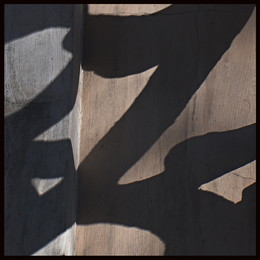 Shadow Dragon / ***