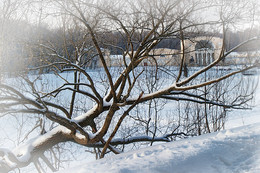 Winter walks ... / ***