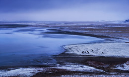 cold dawn / ***