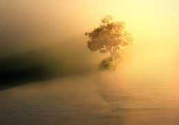 Alone ... / ***