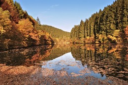 Herbst / ***