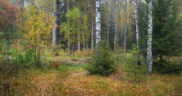 Autumn story / ***