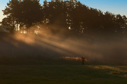 Morning running / ...