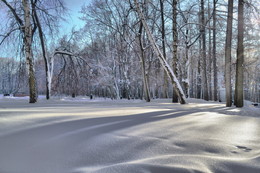 Winter morning / ***